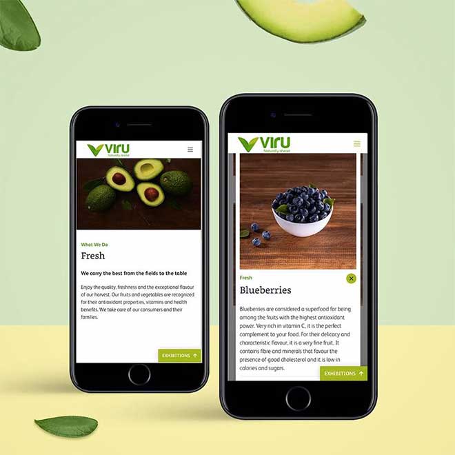 viru website